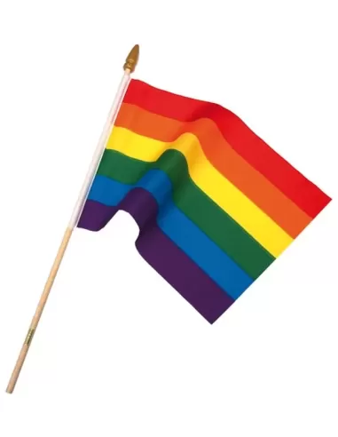 Rainbow Flag On Stick Small