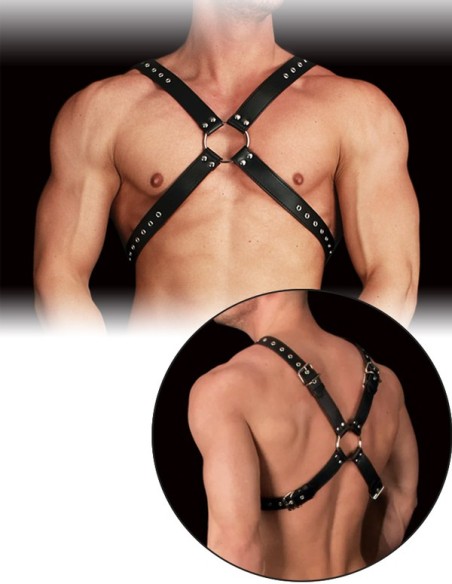 Adonis Harness