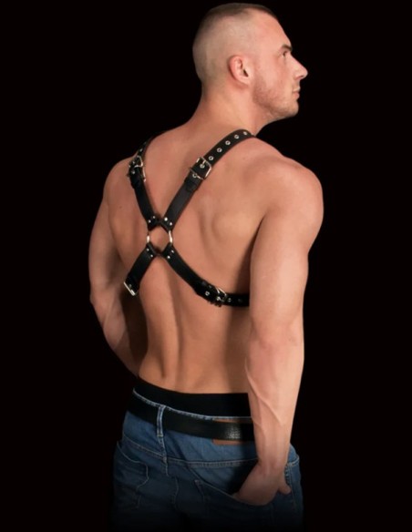 Adonis Harness