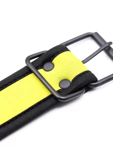 Pupplay Neoprene Collar Yellow