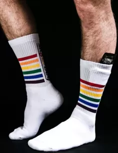 Sk8erboy PRIDE Socks