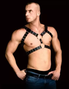 Andreas Harness 2